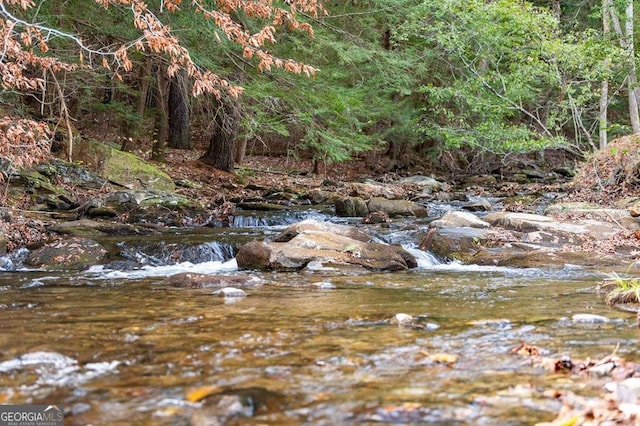 view of local wilderness