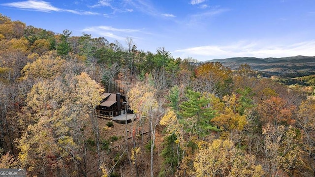 birds eye view of property featuring a mountain view