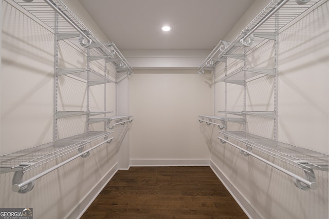 spacious closet featuring dark wood-type flooring