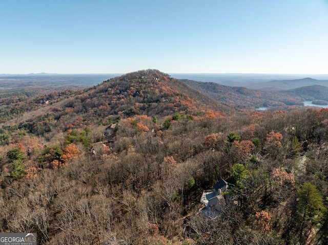 property view of mountains