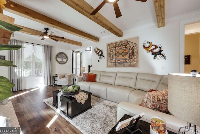 living room featuring beamed ceiling, dark hardwood / wood-style floors, ceiling fan, and ornamental molding