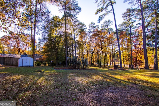 view of yard with a storage shed