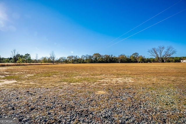 view of yard with a rural view