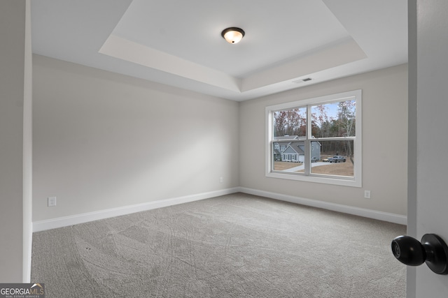 spare room with carpet flooring and a raised ceiling