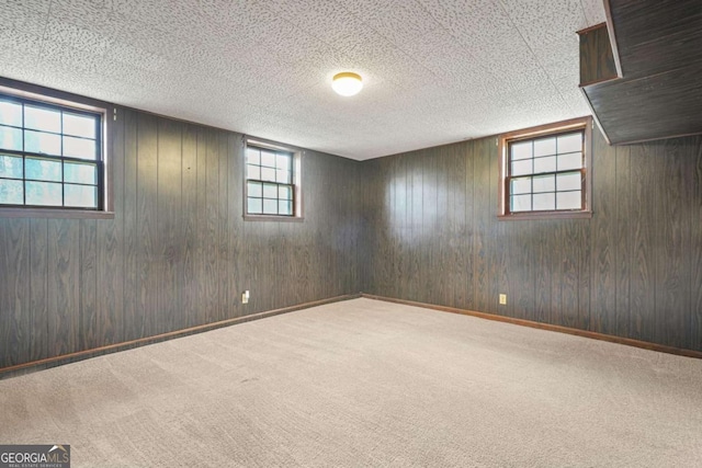 basement with carpet floors and wood walls