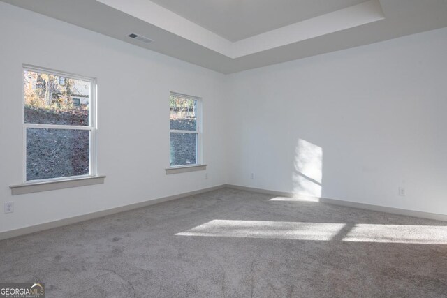 carpeted spare room with a raised ceiling