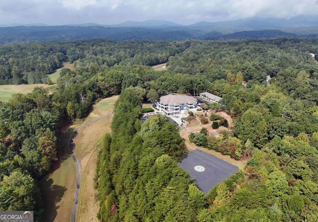 bird's eye view with a mountain view