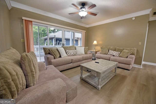 living room featuring crown molding, light hardwood / wood-style flooring, and a textured ceiling