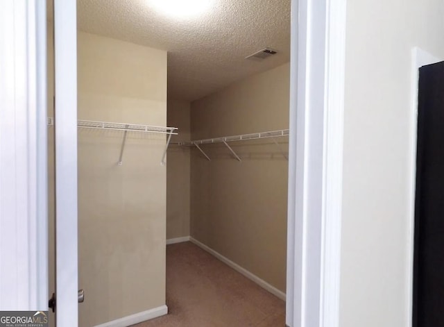 spacious closet featuring carpet