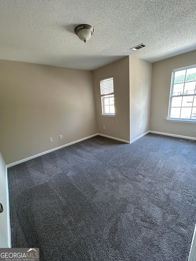 carpeted spare room featuring a textured ceiling and a wealth of natural light