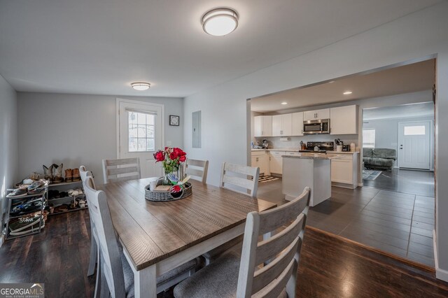 dining room with electric panel and dark hardwood / wood-style floors