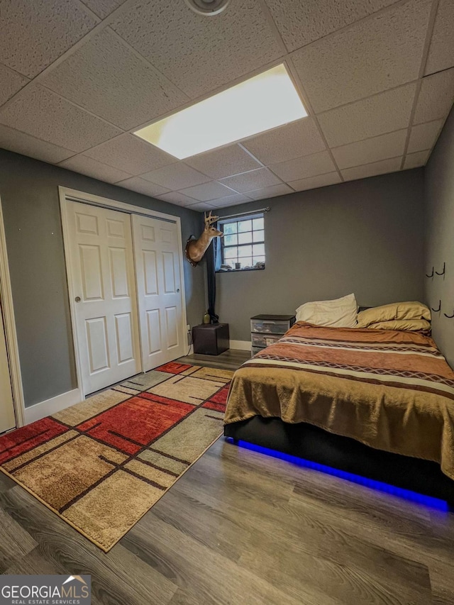 bedroom featuring a paneled ceiling, a closet, and hardwood / wood-style flooring