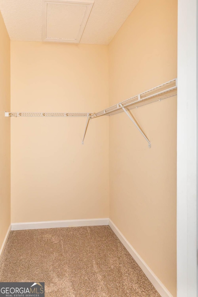 spacious closet with carpet floors