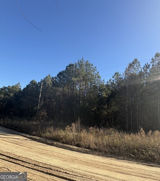 00 Hilman Dr SE, Ludowici GA, 31316 land for sale