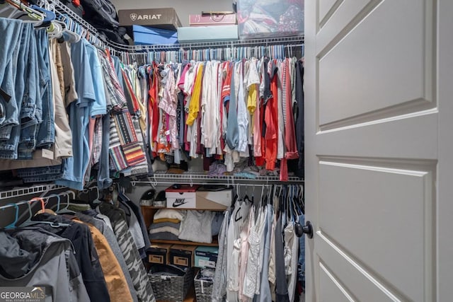 view of walk in closet