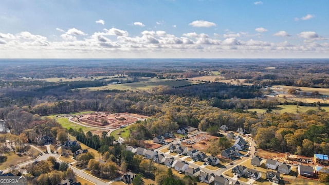 bird's eye view