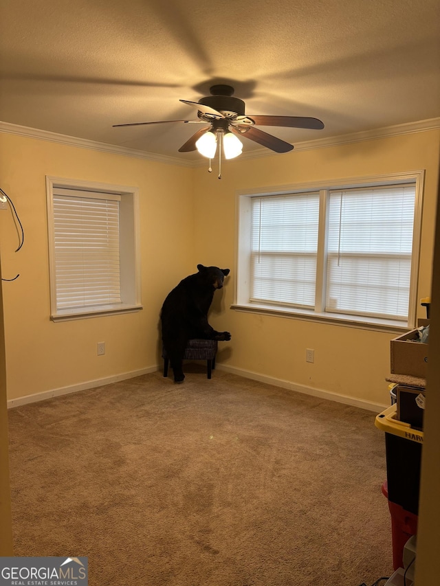 unfurnished room featuring carpet floors, crown molding, a textured ceiling, and baseboards