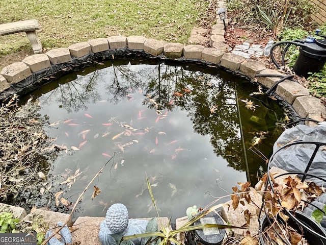 details with a garden pond