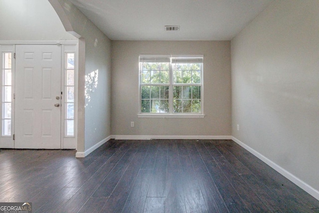 entryway featuring dark wood-type flooring and a healthy amount of sunlight