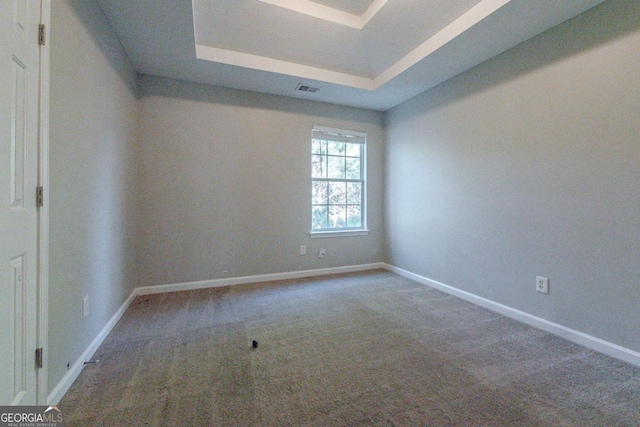 spare room featuring a raised ceiling and carpet floors