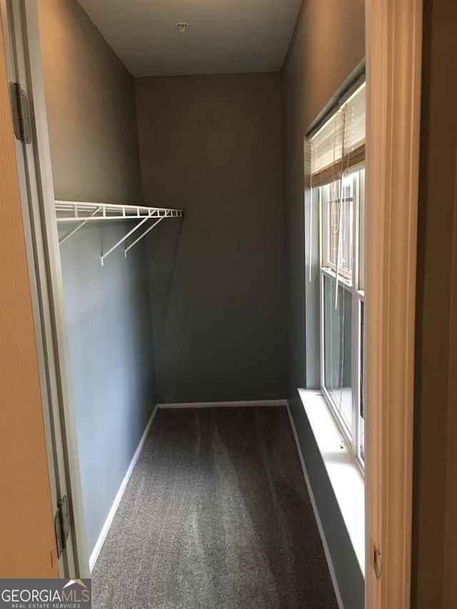 walk in closet featuring dark colored carpet