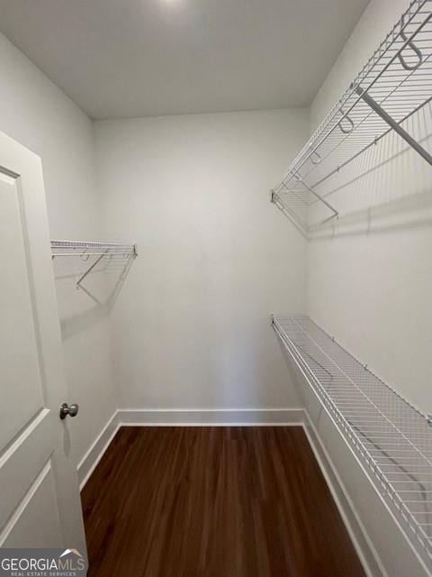 spacious closet featuring dark hardwood / wood-style floors