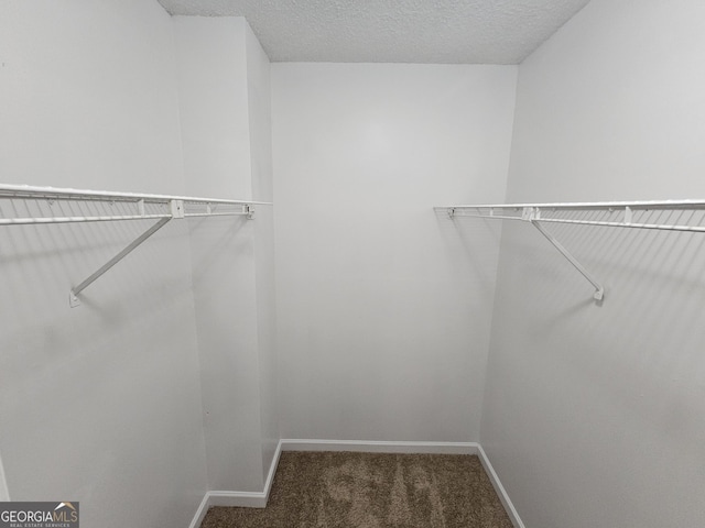 walk in closet featuring dark carpet