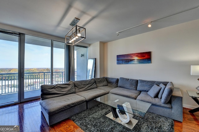 living room with hardwood / wood-style flooring, track lighting, and a healthy amount of sunlight