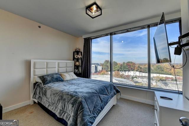 bedroom with light carpet