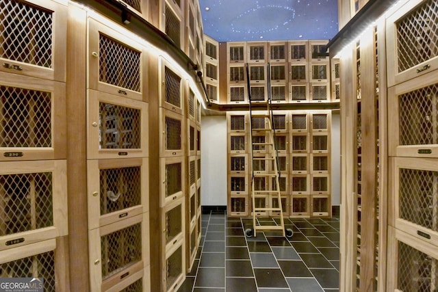 view of wine cellar