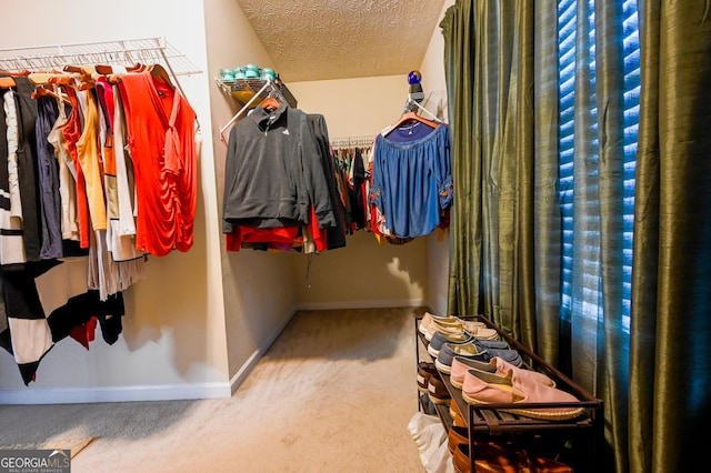 walk in closet featuring carpet flooring