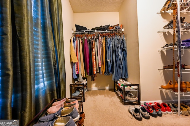 spacious closet featuring carpet flooring