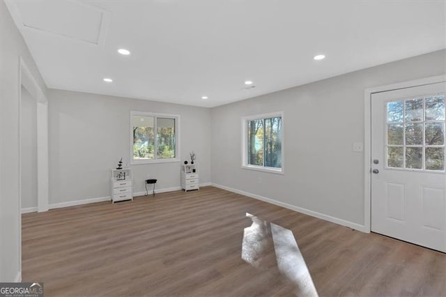 foyer featuring wood-type flooring