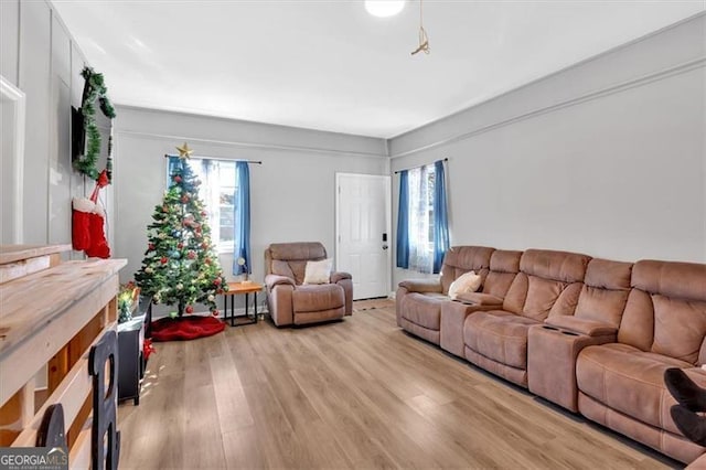 living room featuring plenty of natural light and light hardwood / wood-style floors