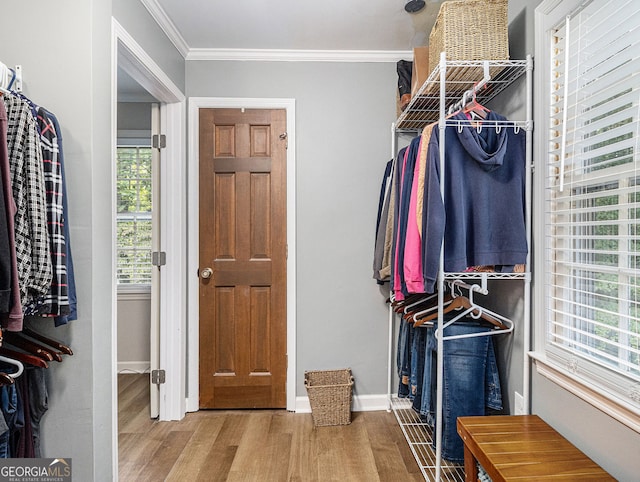 spacious closet with wood finished floors