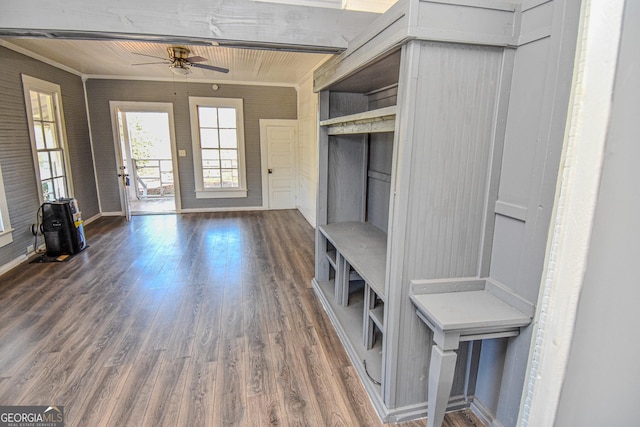 mudroom featuring dark hardwood / wood-style floors, ceiling fan, and ornamental molding