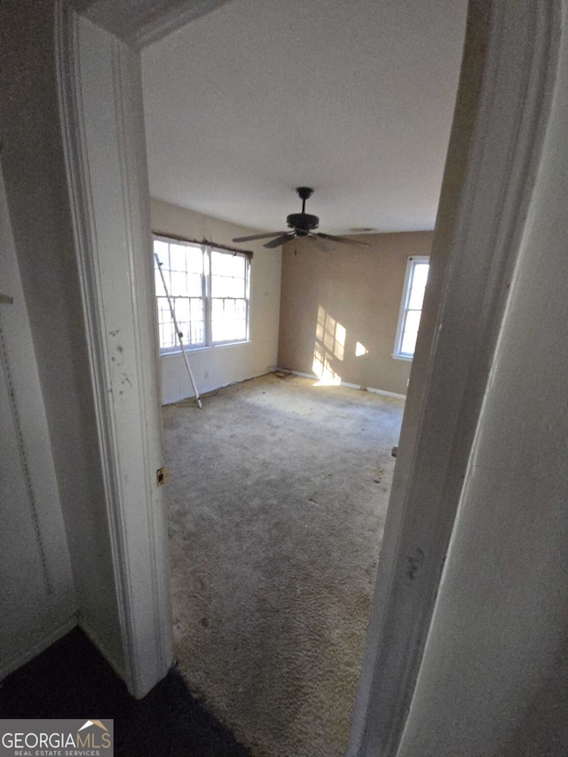 unfurnished room with carpet flooring and ceiling fan