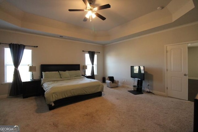 bedroom featuring a raised ceiling, ceiling fan, and carpet floors