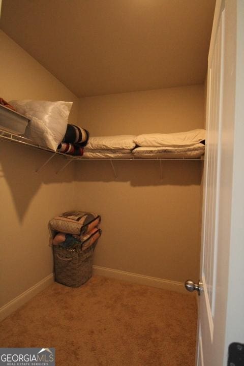 spacious closet featuring carpet floors