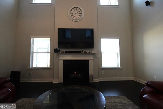 living room featuring dark hardwood / wood-style flooring