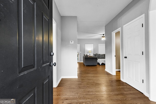 foyer entrance featuring dark hardwood / wood-style floors and ceiling fan