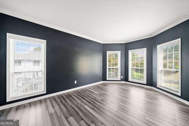 unfurnished room with wood-type flooring and crown molding