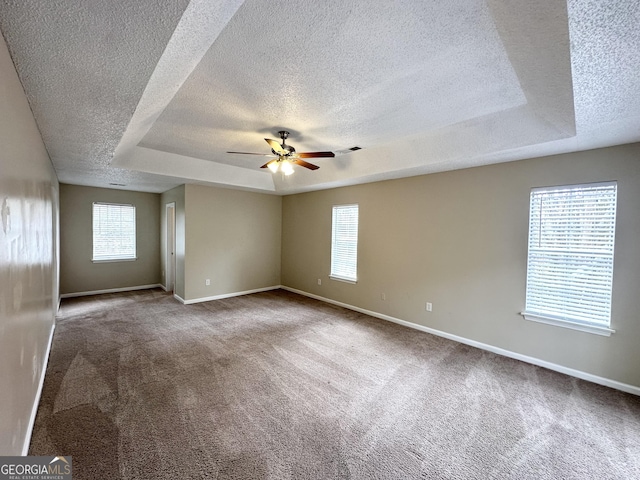 spare room with carpet floors, a raised ceiling, and a healthy amount of sunlight