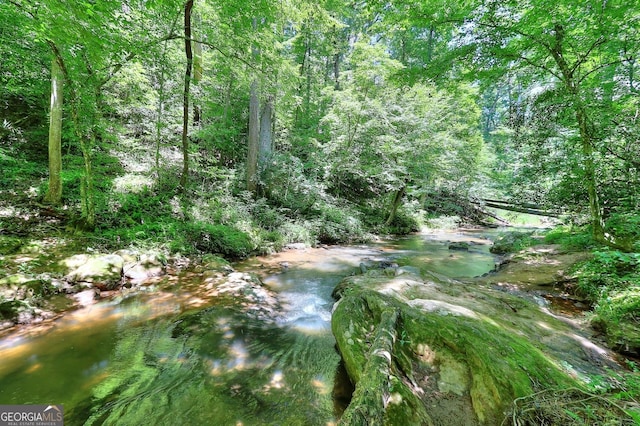 view of local wilderness