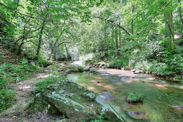 view of local wilderness