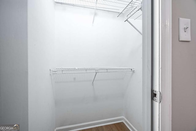 spacious closet with hardwood / wood-style floors