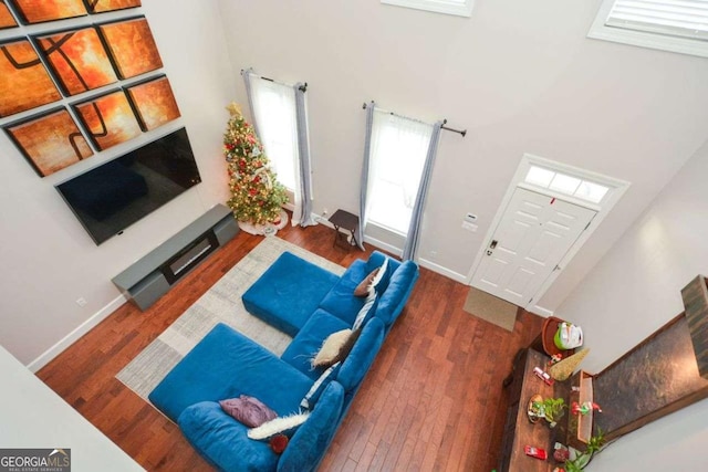 living room with dark hardwood / wood-style floors and a high ceiling