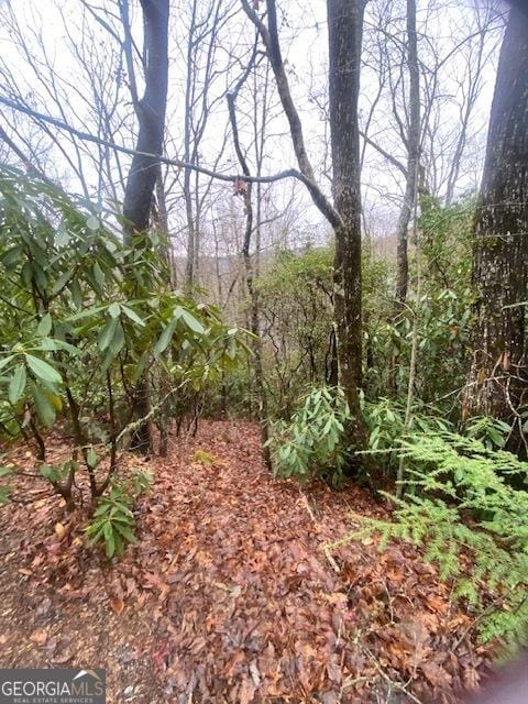 Listing photo 3 for LOT17 Ridgepole Dr, Sky Valley GA 30537