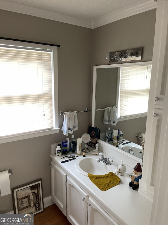 bathroom featuring a healthy amount of sunlight, crown molding, and vanity