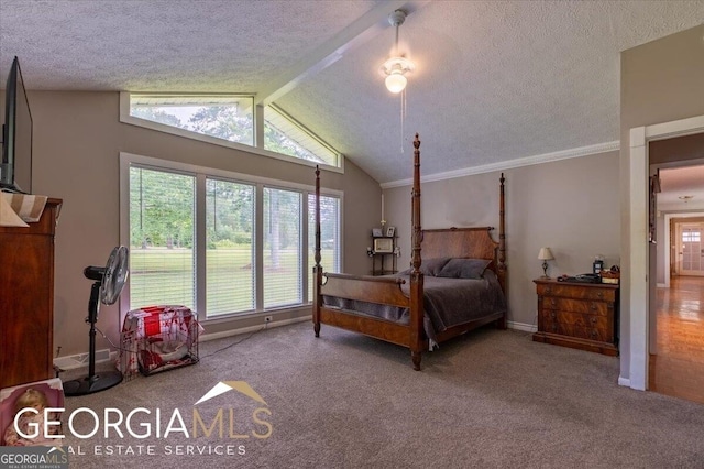 1088 New Rosedale Rd NE, Armuchee, GA 30105 - bedroom with a textured ceiling, carpet flooring, baseboards, and lofted ceiling